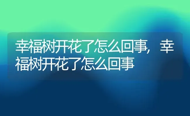 幸福树开花了怎么回事,幸福树开花了怎么回事 | 养殖常见问题