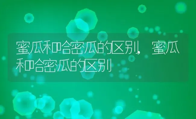 蜜瓜和哈密瓜的区别,蜜瓜和哈密瓜的区别 | 养殖常见问题