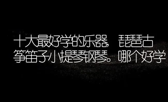 十大最好学的乐器,琵琶古筝笛子小提琴钢琴。哪个好学 | 养殖常见问题