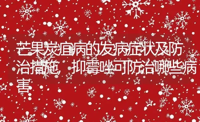 芒果炭疽病的发病症状及防治措施,抑霉唑可防治哪些病害 | 养殖常见问题