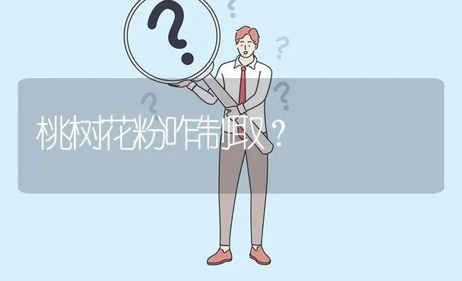 桃树花粉咋制取? | 养殖问题解答