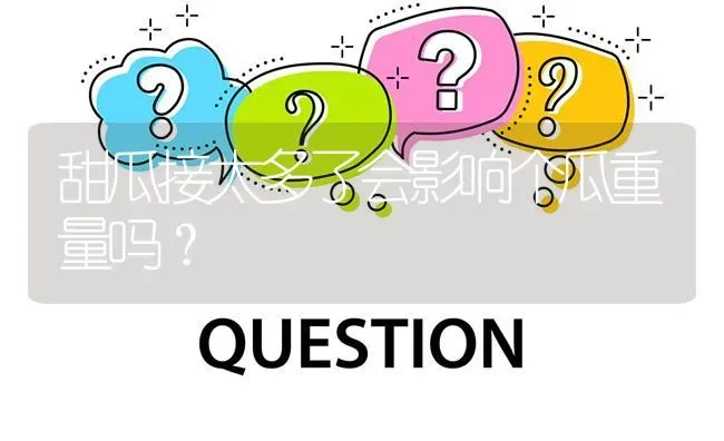 甜瓜接太多了会影响个瓜重量吗? | 养殖问题解答