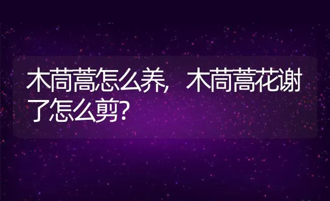 唐瓜是黄瓜吗,黄瓜别名有哪几种？ | 养殖常见问题