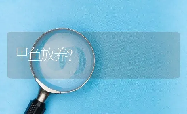 甲鱼放养? | 养殖问题解答