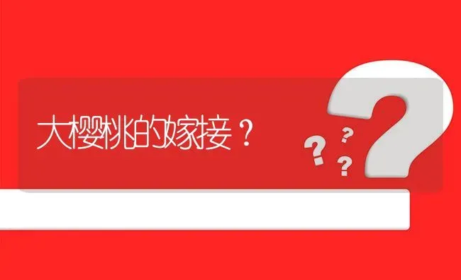 大樱桃的嫁接? | 养殖问题解答