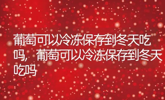 葡萄可以冷冻保存到冬天吃吗,葡萄可以冷冻保存到冬天吃吗 | 养殖常见问题