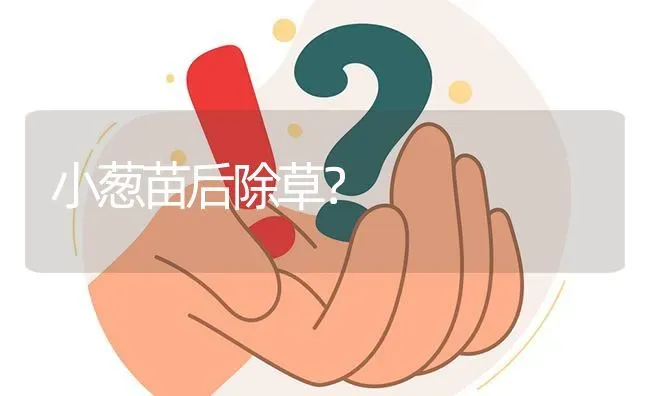 小葱苗后除草? | 养殖问题解答