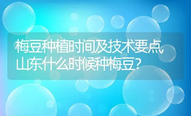 梅豆种植时间及技术要点,山东什么时候种梅豆？ | 养殖常见问题