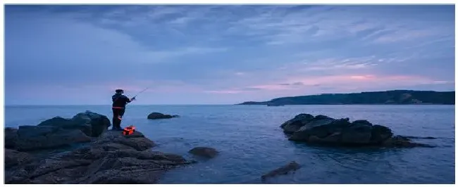 海钓鲈鱼技巧 | 农业问题