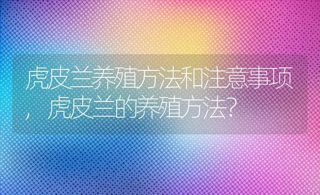 虎皮兰养殖方法和注意事项,虎皮兰的养殖方法？ | 养殖常见问题