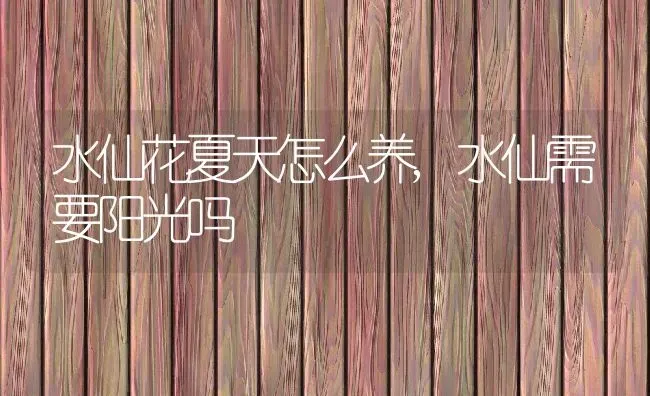 水仙花夏天怎么养,水仙需要阳光吗 | 养殖常见问题