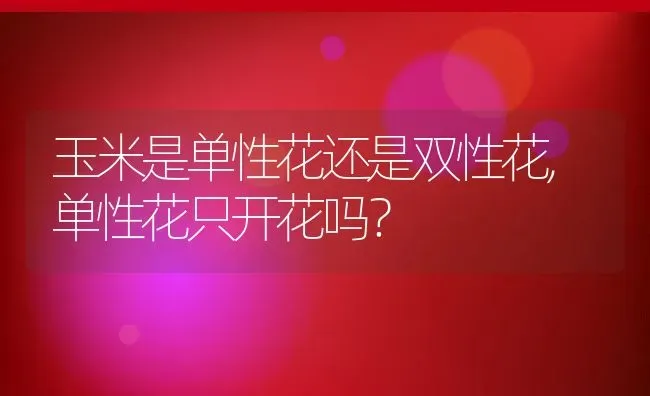 玉米是单性花还是双性花,单性花只开花吗？ | 养殖常见问题