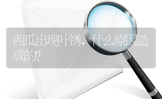 西瓜出现叶锈,什么原因造成的? | 养殖问题解答