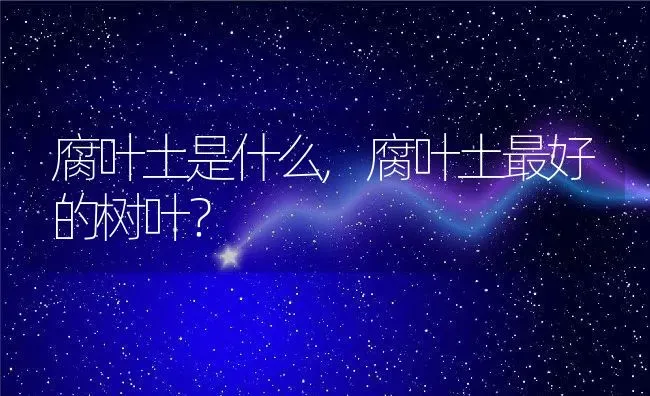 腐叶土是什么,腐叶土最好的树叶？ | 养殖常见问题