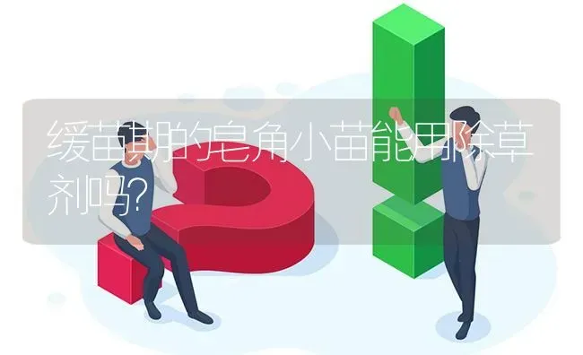 缓苗期的皂角小苗能用除草剂吗? | 养殖问题解答