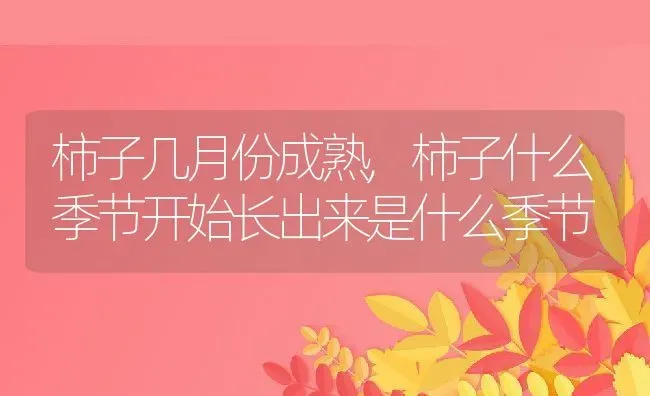 柿子几月份成熟,柿子什么季节开始长出来是什么季节 | 养殖常见问题