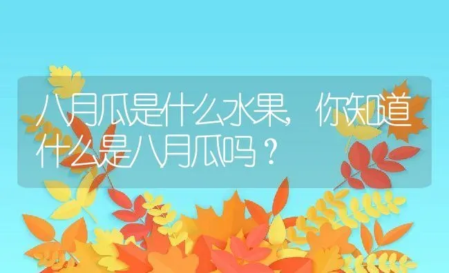 八月瓜是什么水果,你知道什么是八月瓜吗？ | 养殖常见问题