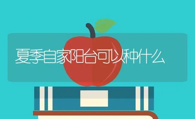 夏季自家阳台可以种什么 | 养殖常见问题