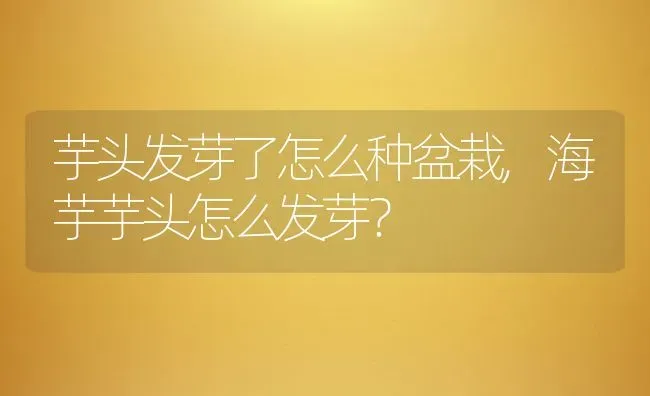 芋头发芽了怎么种盆栽,海芋芋头怎么发芽？ | 养殖常见问题