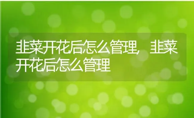 韭菜开花后怎么管理,韭菜开花后怎么管理 | 养殖常见问题