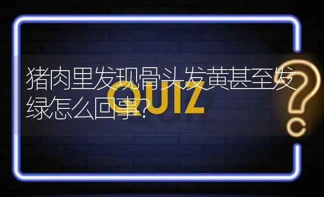 猪肉里发现骨头发黄甚至发绿怎么回事? | 养殖问题解答