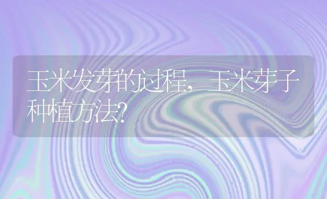 玉米发芽的过程,玉米芽子种植方法？ | 养殖常见问题
