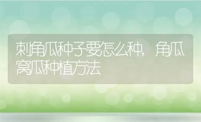 泡桐树能活多少年,泡桐树可以在东北地区生长吗？ | 养殖常见问题