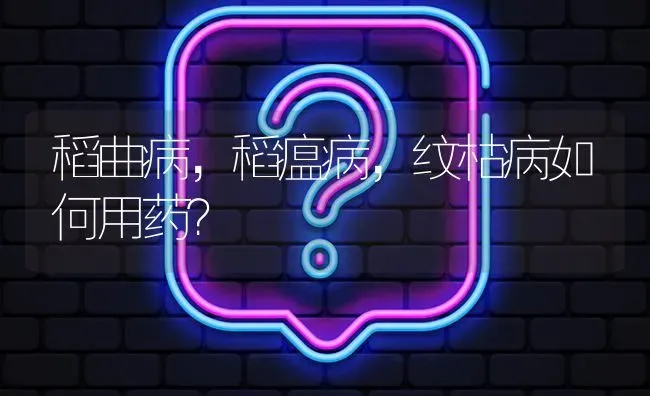 稻曲病,稻瘟病,纹枯病如何用药? | 养殖问题解答