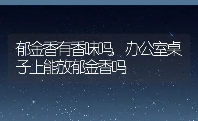 郁金香有香味吗,办公室桌子上能放郁金香吗 | 养殖常见问题