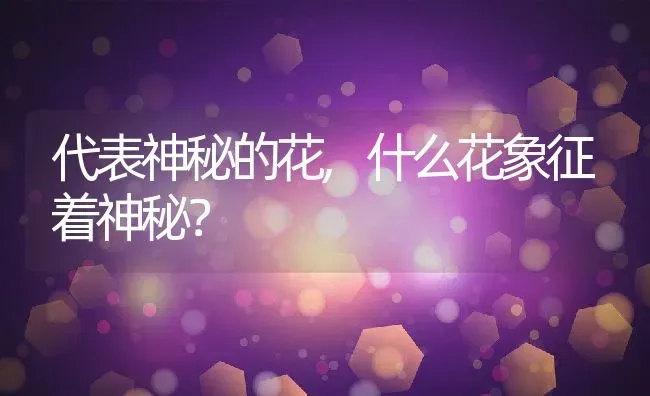 代表神秘的花,什么花象征着神秘？ | 养殖常见问题