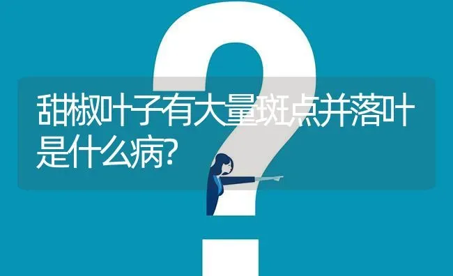 甜椒叶子有大量斑点并落叶是什么病? | 养殖问题解答