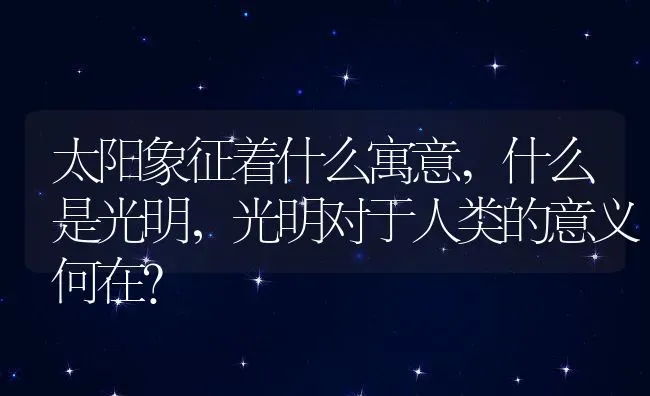 太阳象征着什么寓意,什么是光明，光明对于人类的意义何在？ | 养殖常见问题