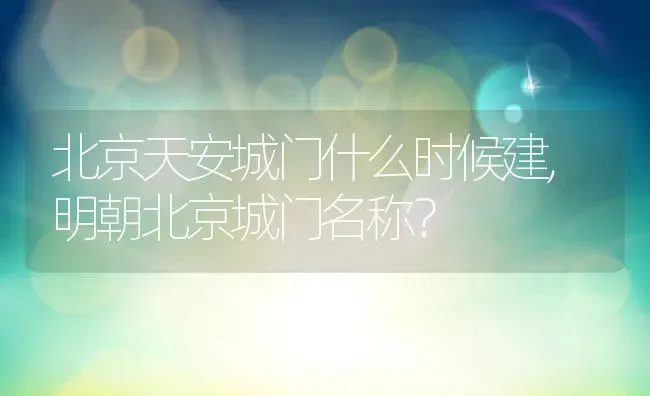 北京天安城门什么时候建,明朝北京城门名称？ | 养殖常见问题