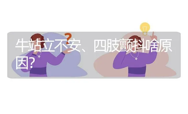 牛站立不安、四肢颤抖啥原因? | 养殖问题解答