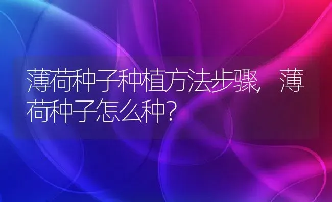 薄荷种子种植方法步骤,薄荷种子怎么种？ | 养殖常见问题