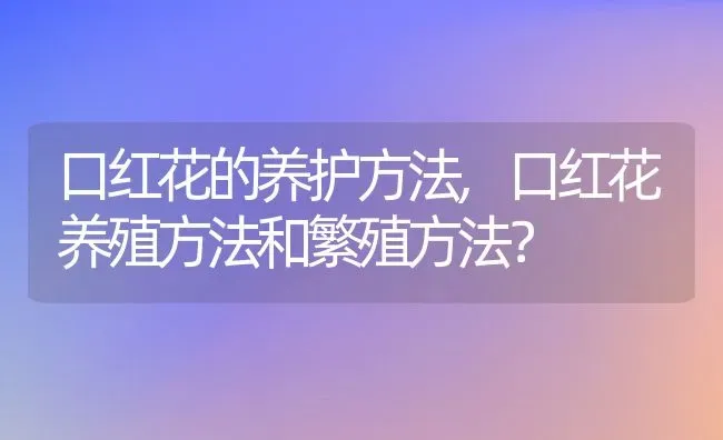 口红花的养护方法,口红花养殖方法和繁殖方法？ | 养殖常见问题