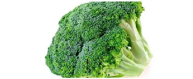 西兰花种植时间和方法 | 三农答疑