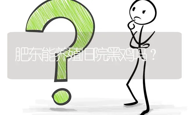 肥东能养殖旧院黑鸡吗? | 养殖问题解答