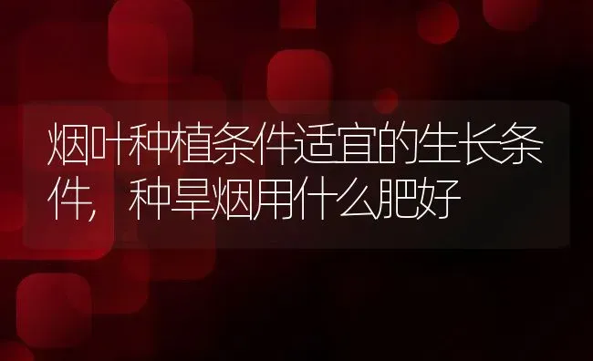 烟叶种植条件适宜的生长条件,种旱烟用什么肥好 | 养殖常见问题