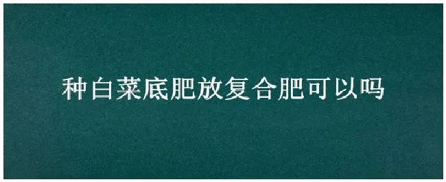 种白菜底肥放复合肥可以吗 | 农业问题