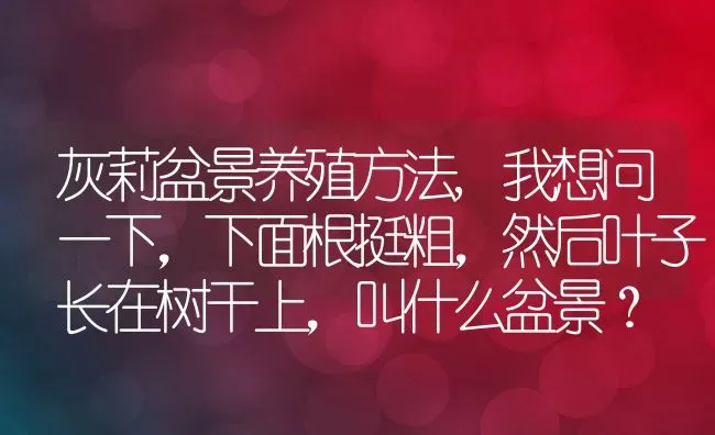 灰莉盆景养殖方法,我想问一下，下面根挺粗，然后叶子长在树干上，叫什么盆景？ | 养殖常见问题