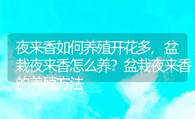 春夏秋冬代表性的花,春夏秋冬代表性的花 | 养殖常见问题