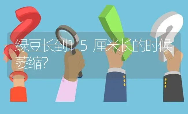 绿豆长到15厘米长的时候萎缩? | 养殖问题解答