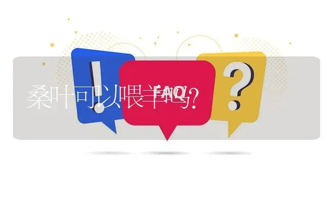 桑叶可以喂羊吗? | 养殖问题解答