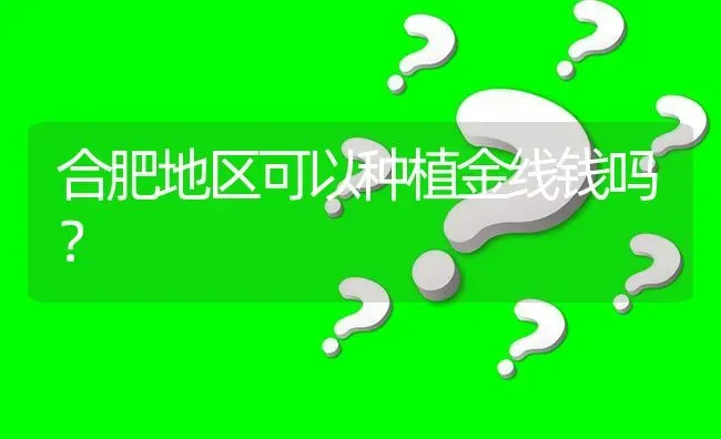 合肥地区可以种植金线钱吗? | 养殖问题解答