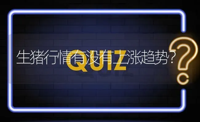 生猪行情有没有上涨趋势? | 养殖问题解答