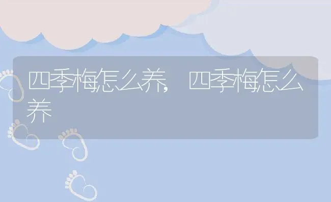 四季梅怎么养,四季梅怎么养 | 养殖常见问题