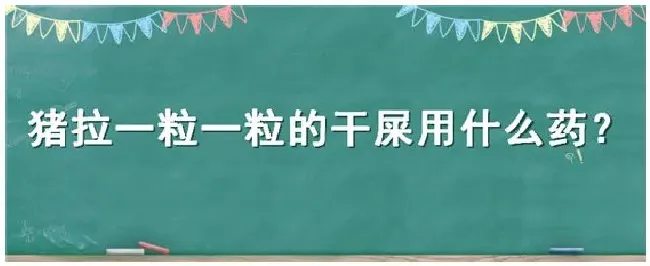 猪拉一粒一粒的干屎用什么药 | 三农问答