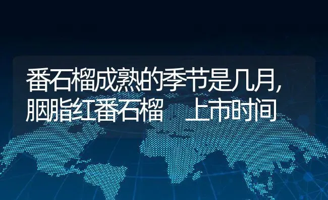 番石榴成熟的季节是几月,胭脂红番石榴 上市时间 | 养殖常见问题