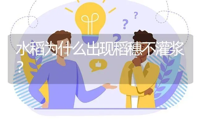 水稻为什么出现稻穗不灌浆? | 养殖问题解答